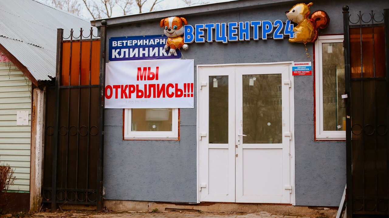 Фото «Ветцентр24»