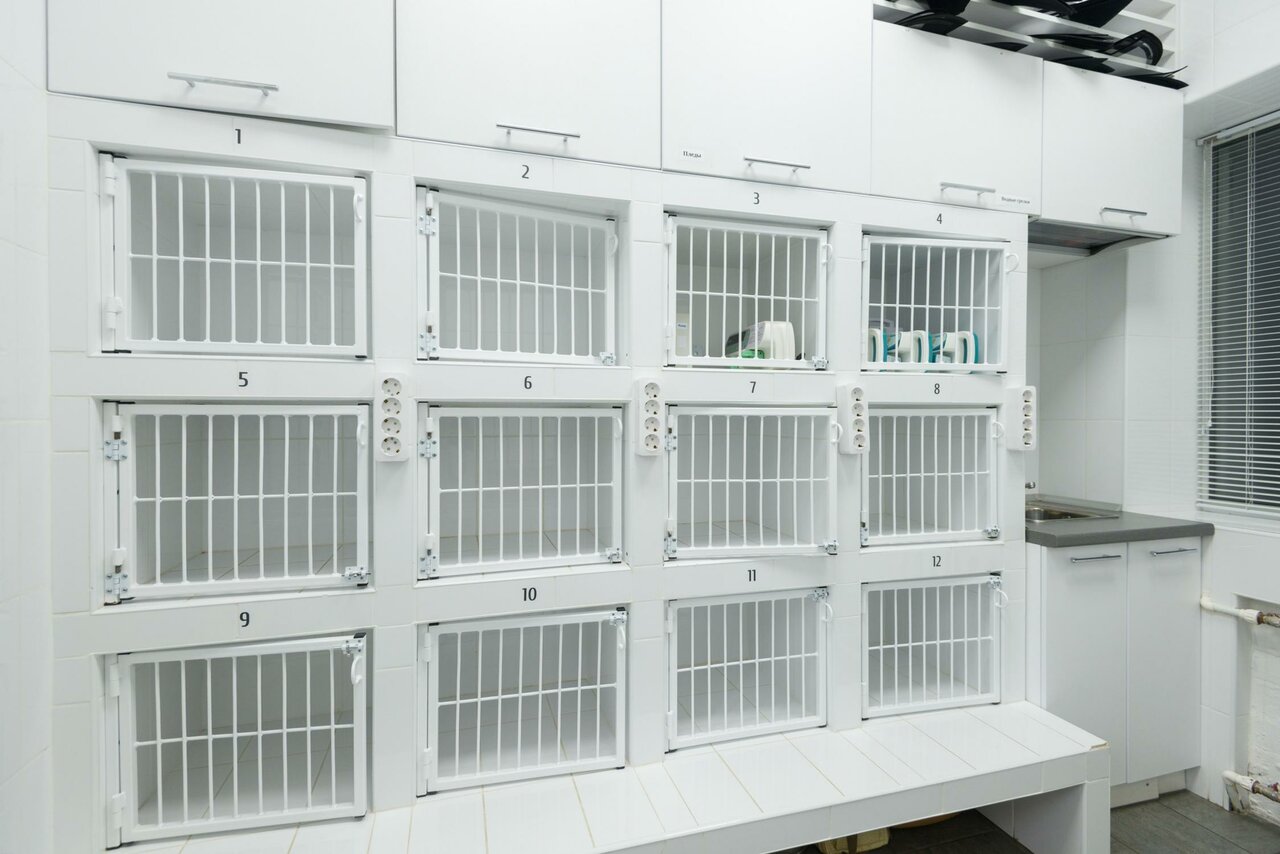 more clinic photos 43210