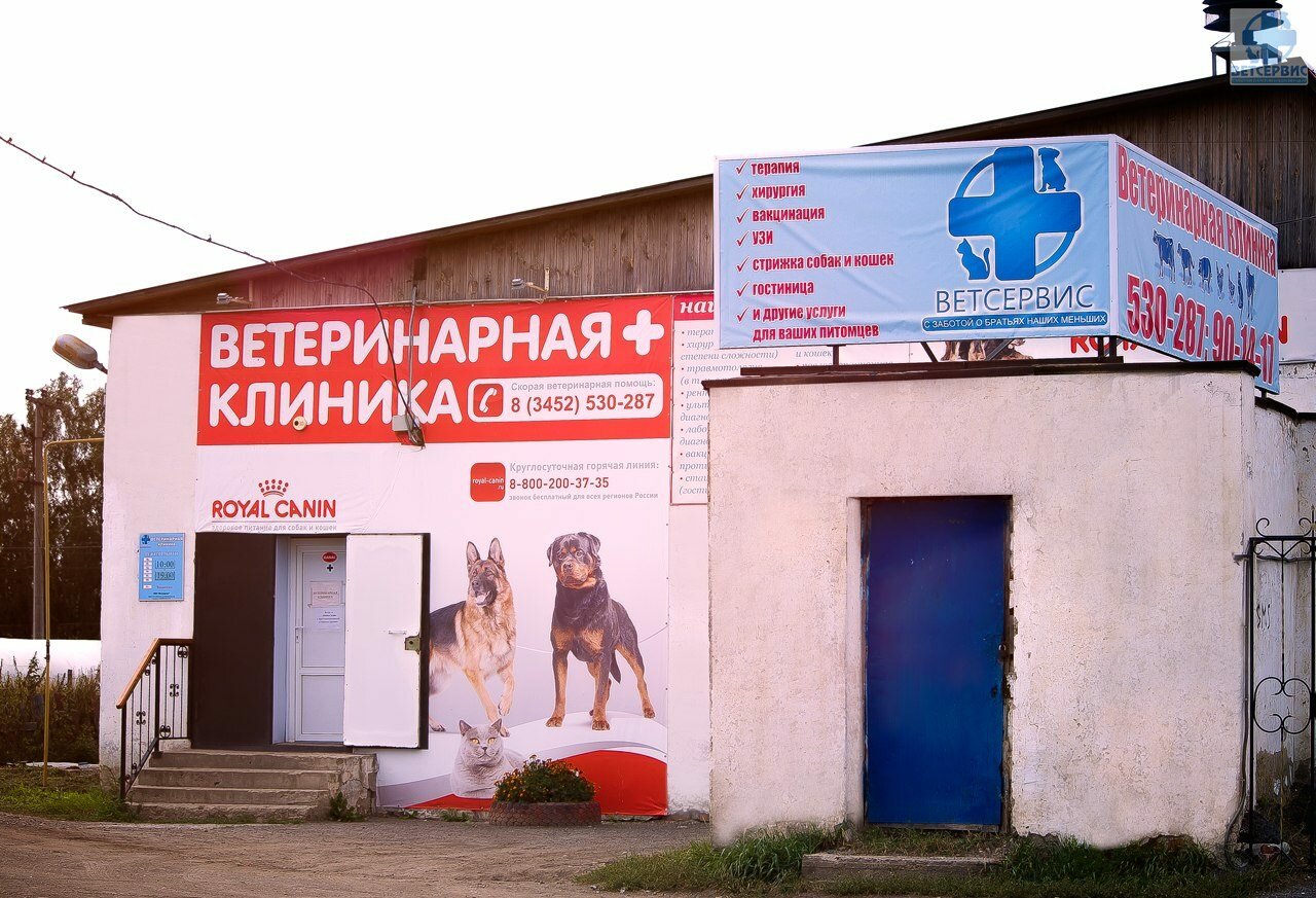 Фото клиники Белый Медведь