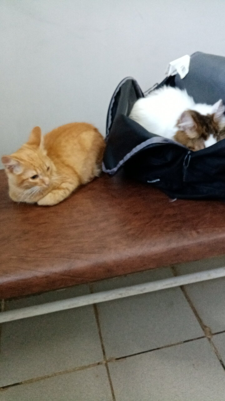 more clinic photos 37789