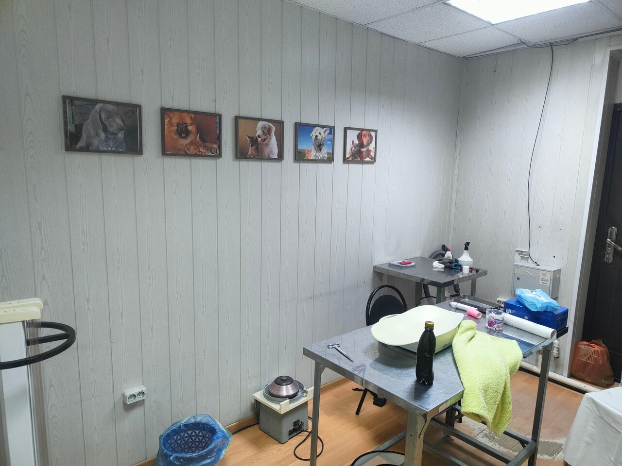 more clinic photos 39542