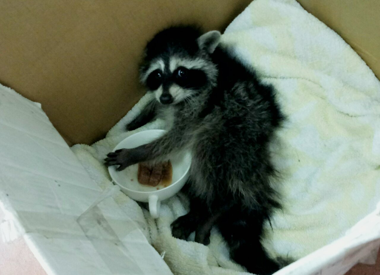 clinic general image