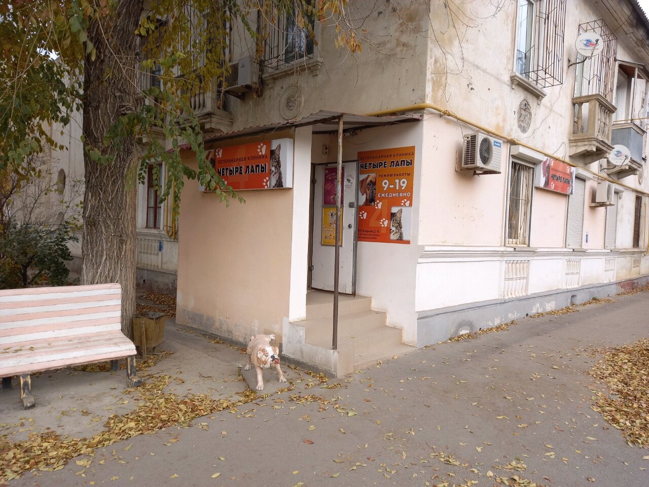 Фото клиники 66129