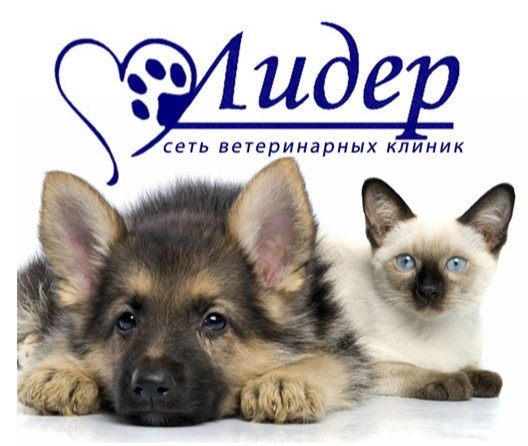 Логотип клиники