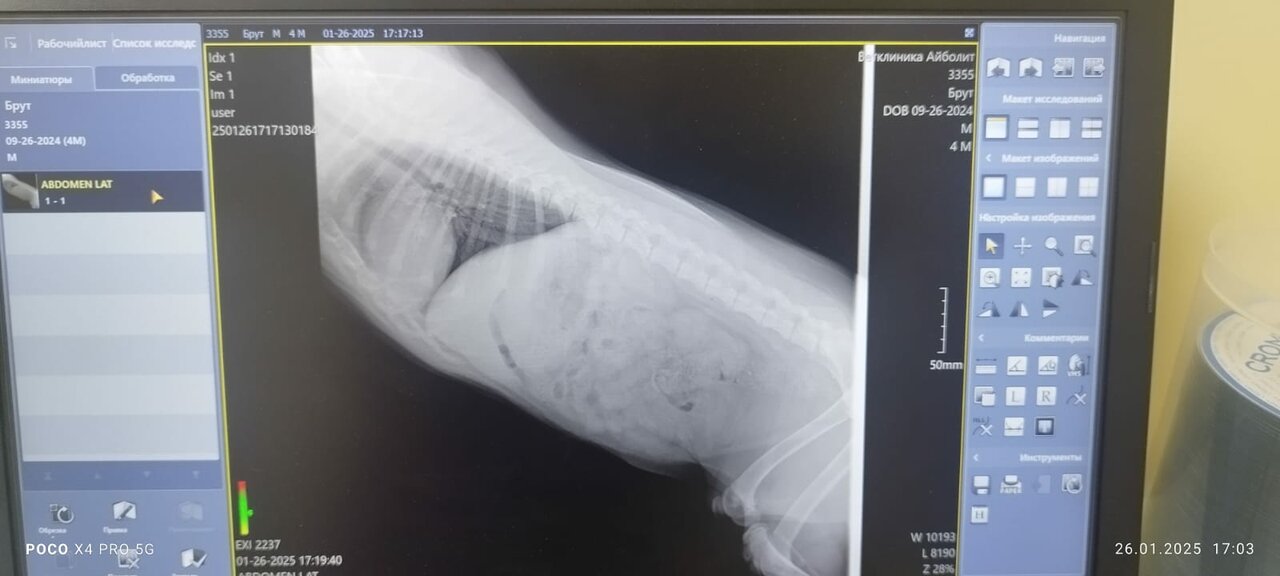 Ветеринарная клиника