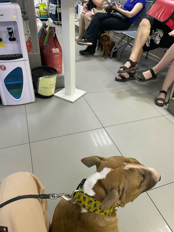 more clinic photos 9195