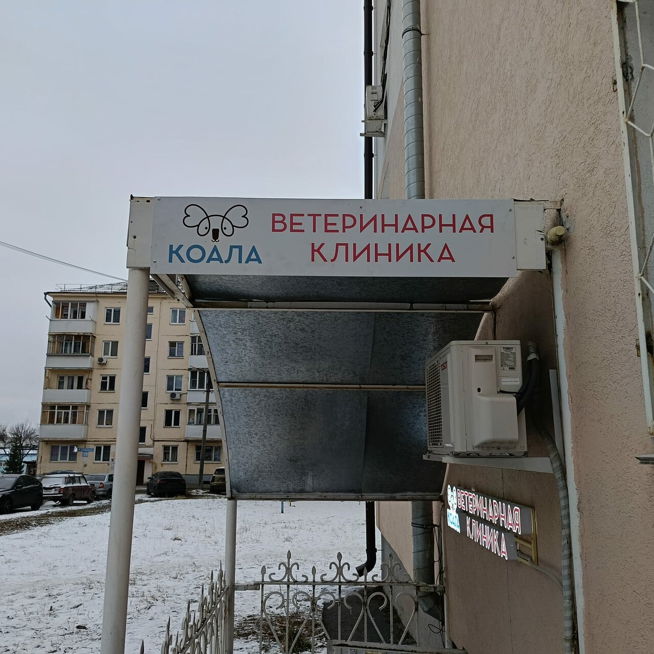 Фото «Коала»