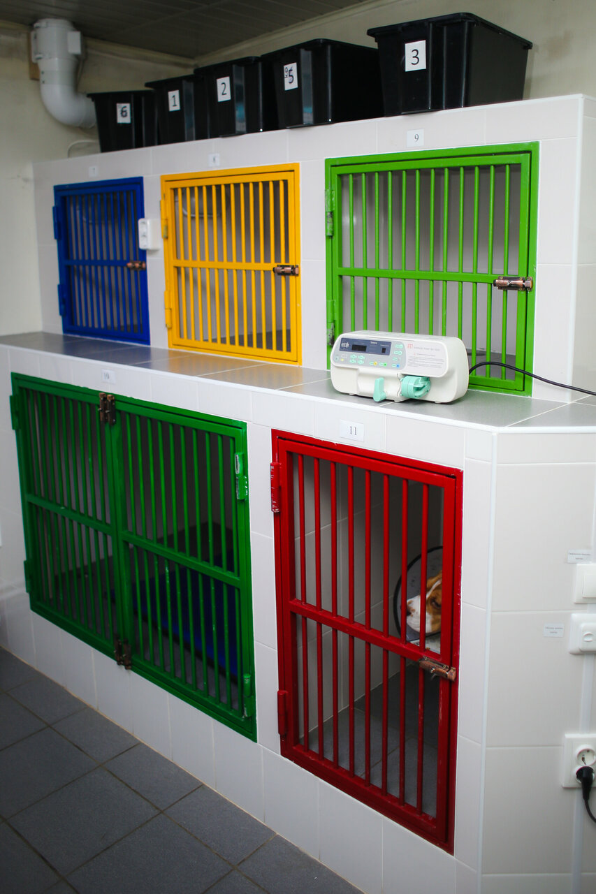 more clinic photos 5201