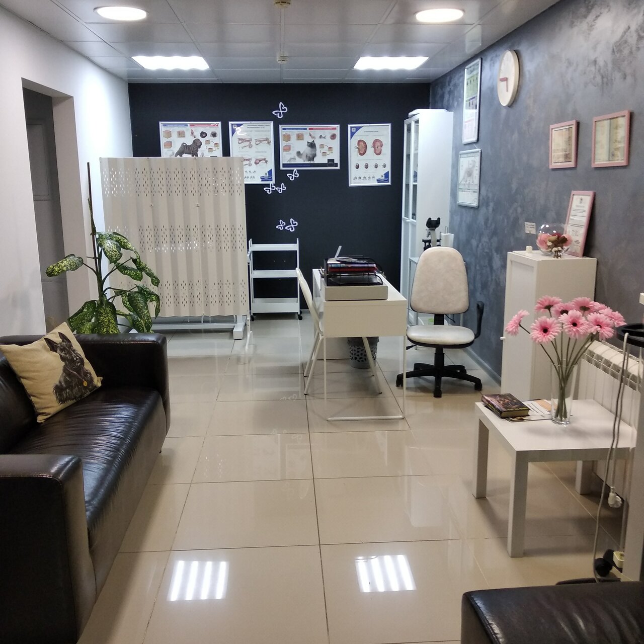 more clinic photos 13580