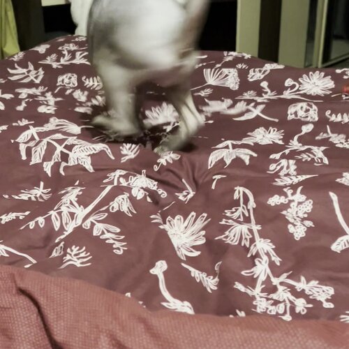 clinic general image