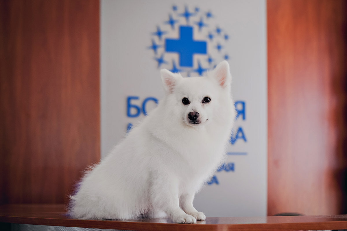 clinic general image