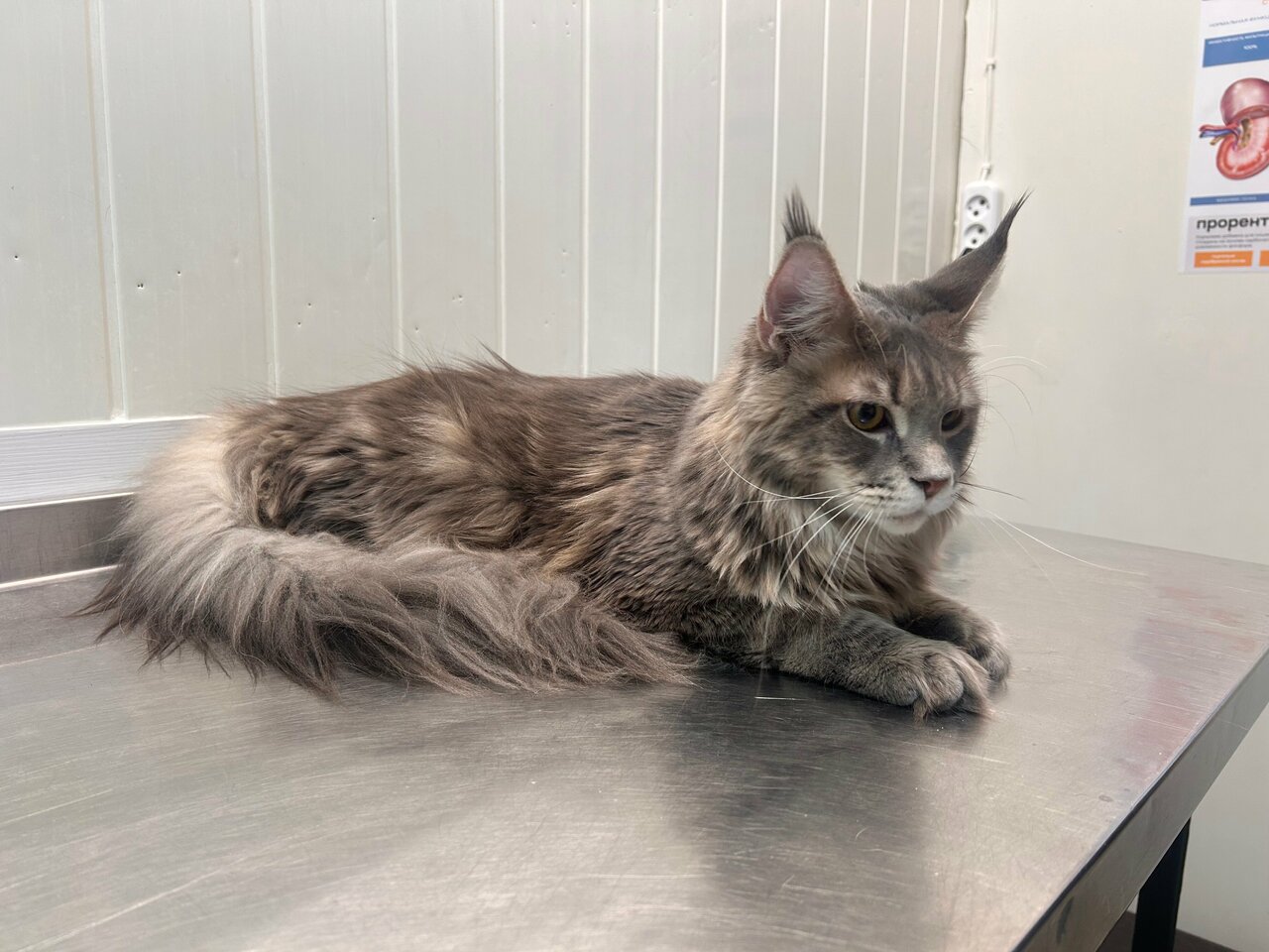 more clinic photos 48343