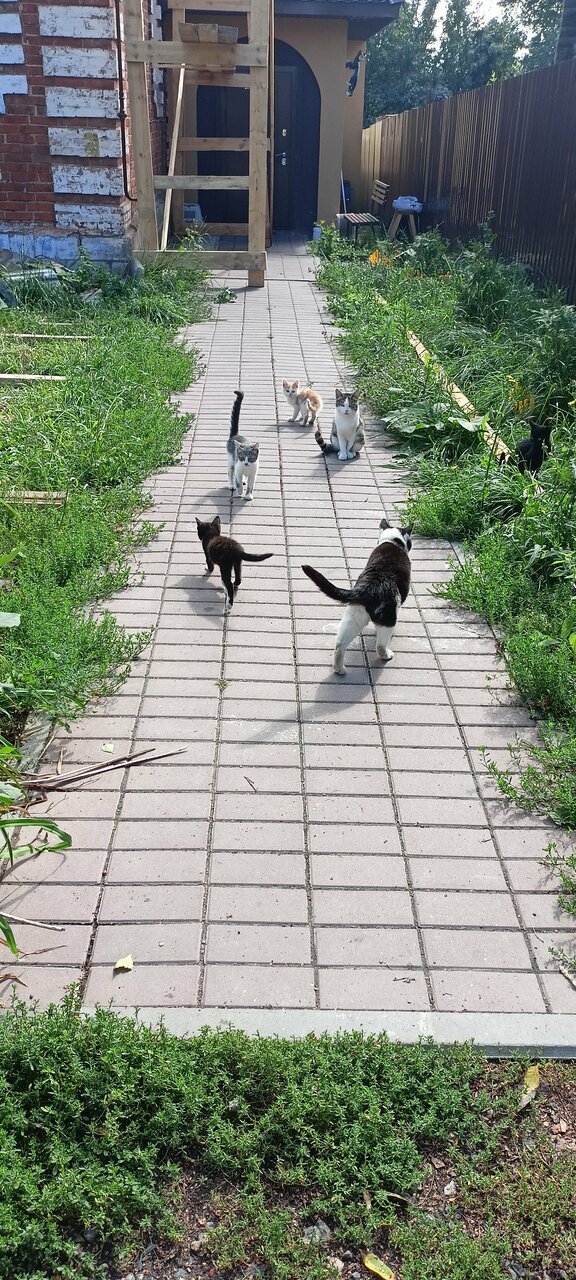 more clinic photos 30581