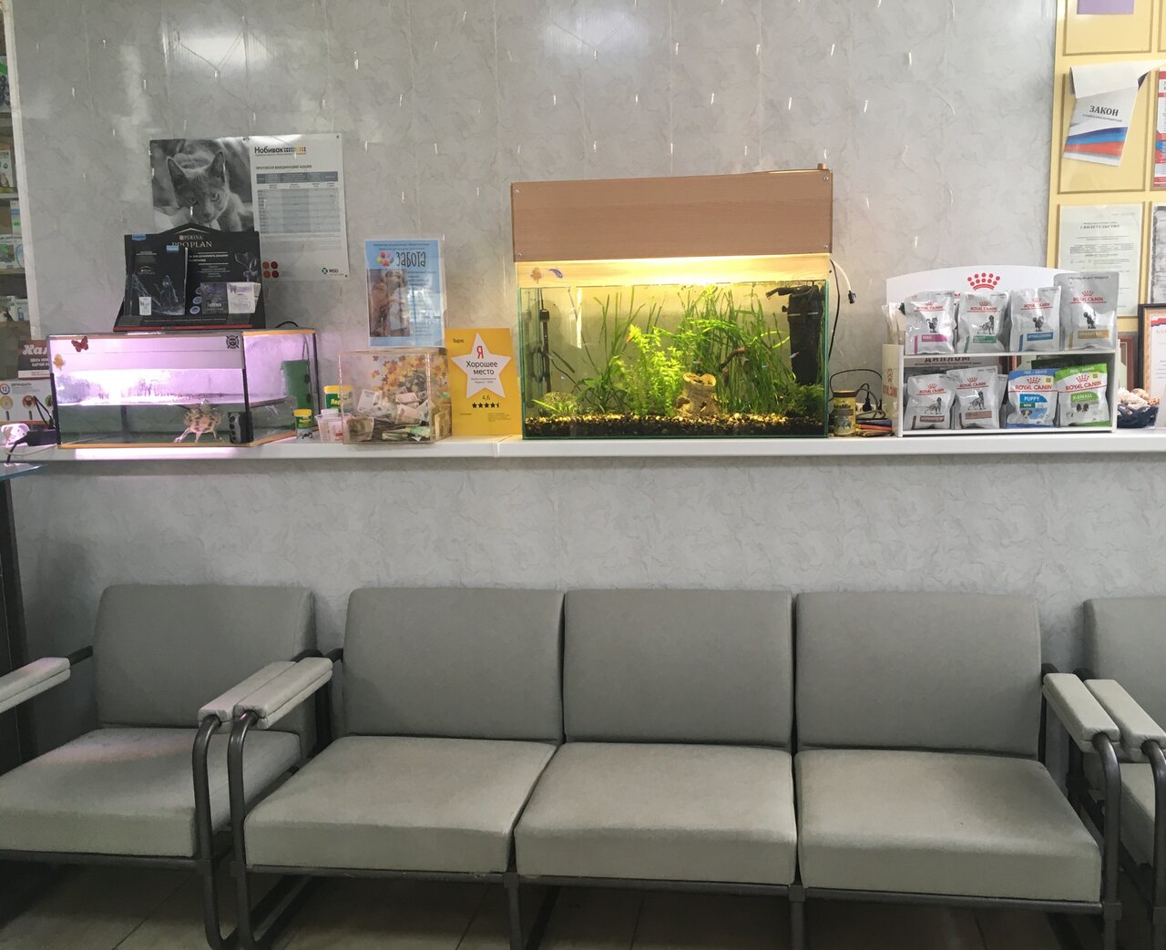 more clinic photos 59027