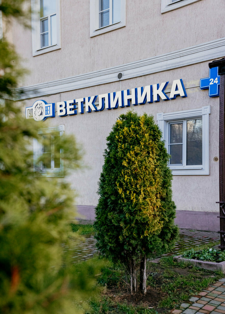 Фото клиники 68382