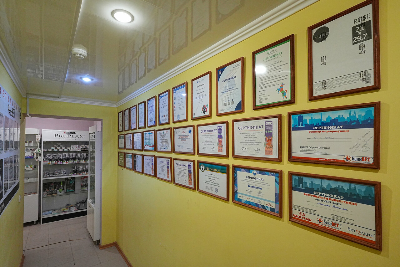 more clinic photos 15066