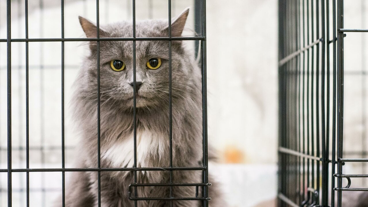 clinic general image