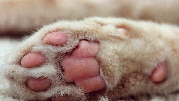 clinic general image