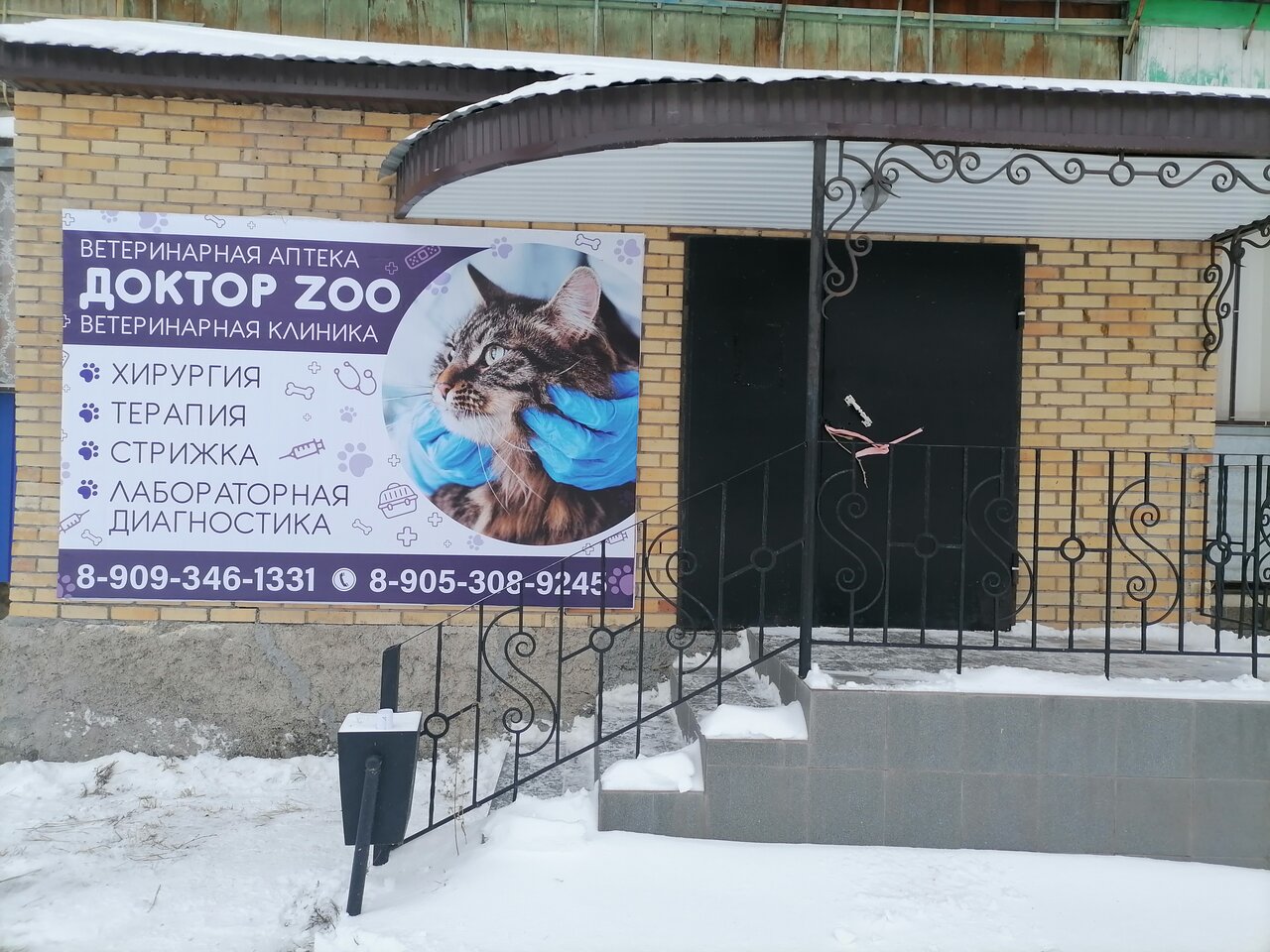 Доктор Zoo