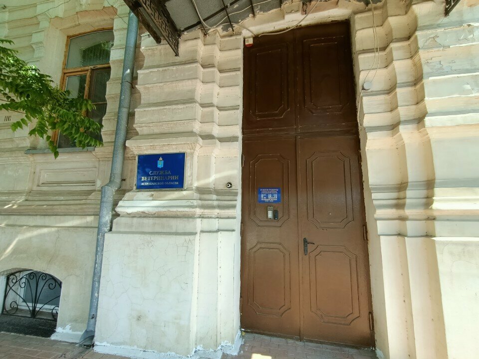 Фото клиники 43674