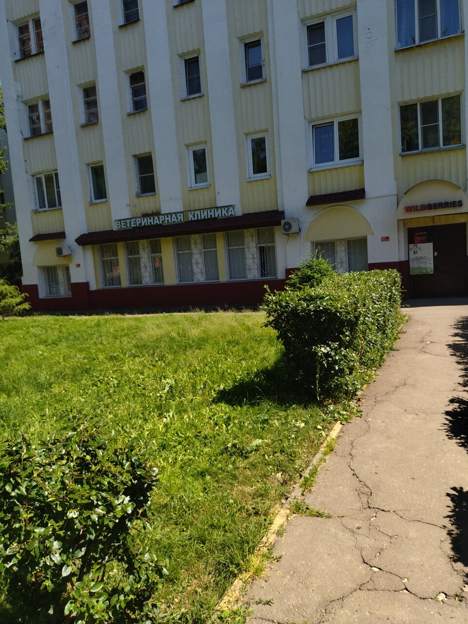 more clinic photos 11952