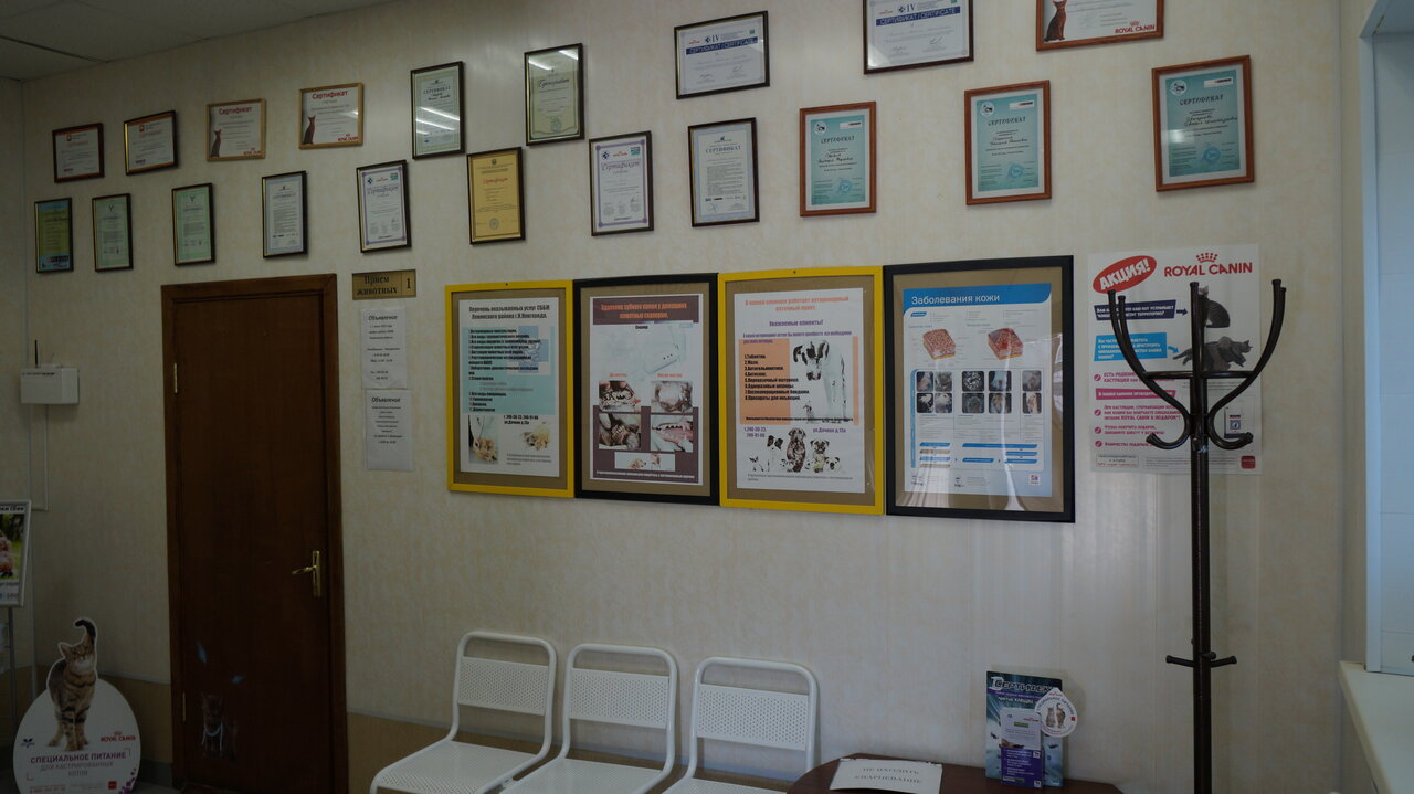 more clinic photos 3368