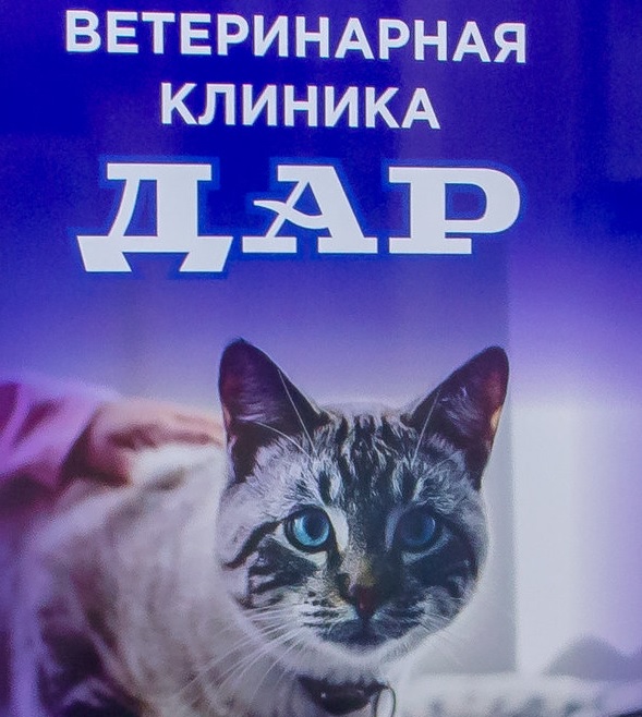 Логотип клиники