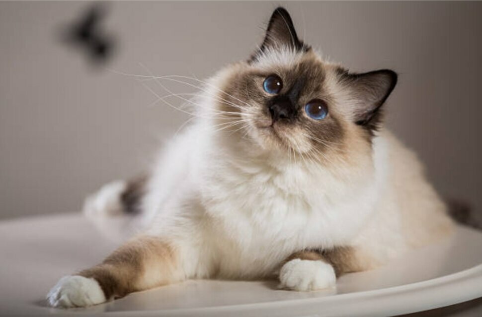 clinic general image