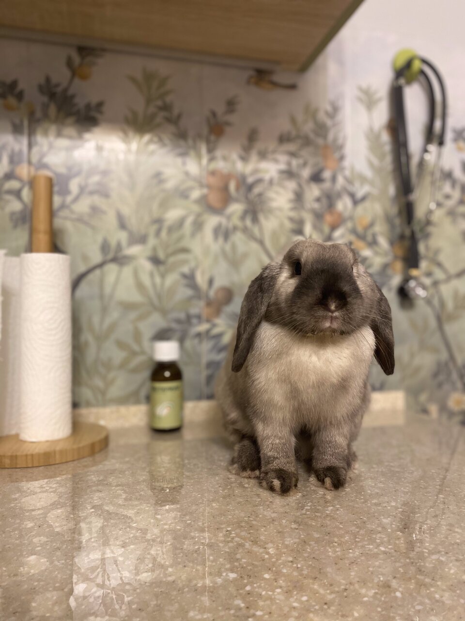 more clinic photos 44863