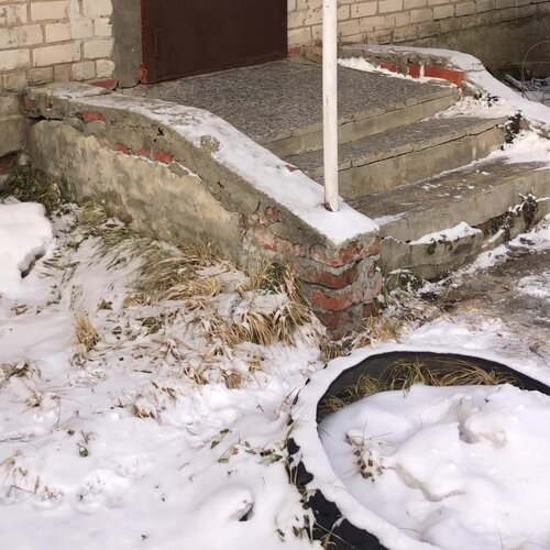 Ветеринарная клиника