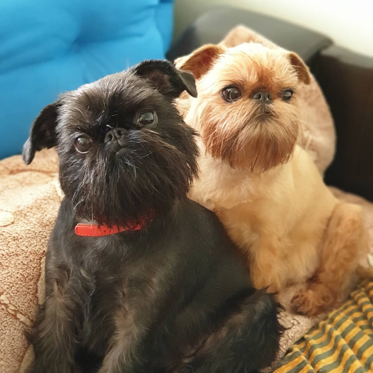 Лахденпохская ветеринарная станция