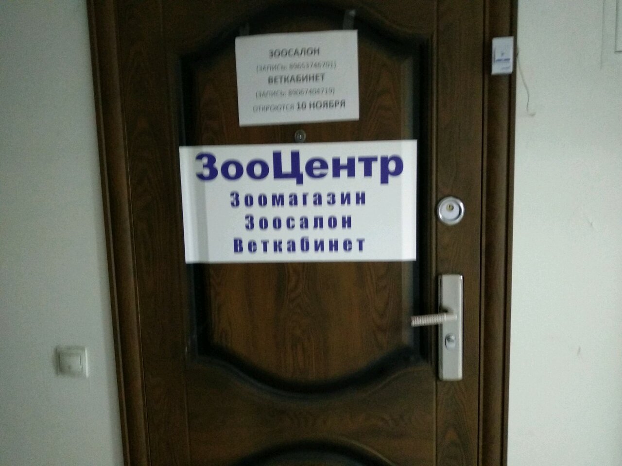 Фото «Зоомагазин»