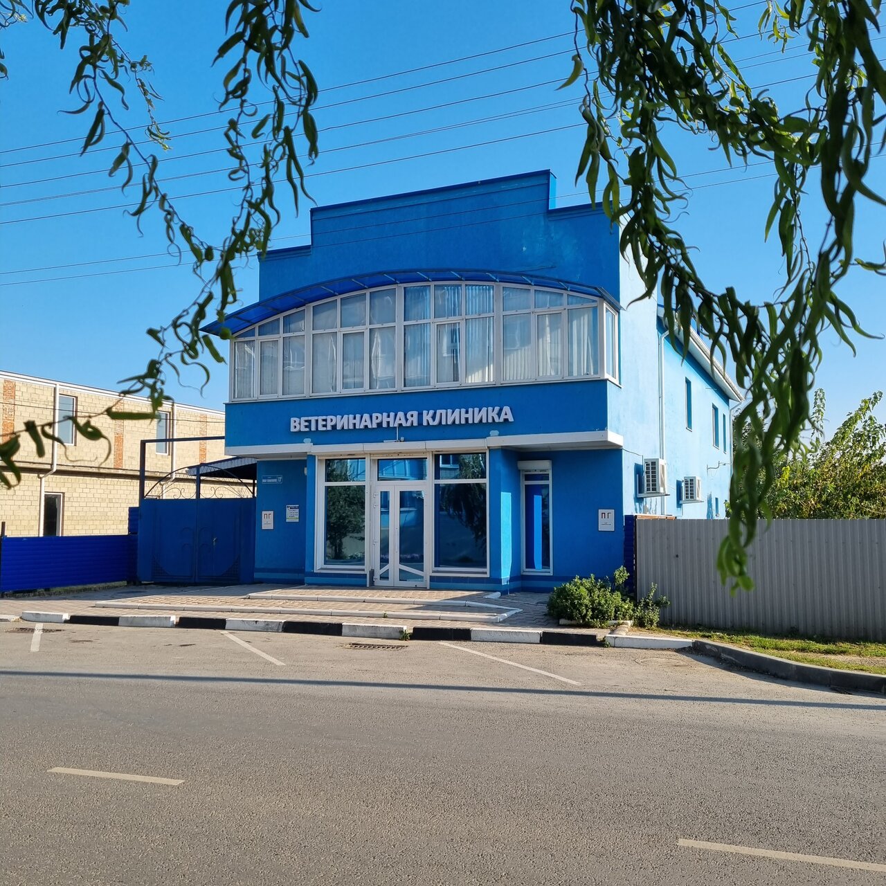 Четыре лапы