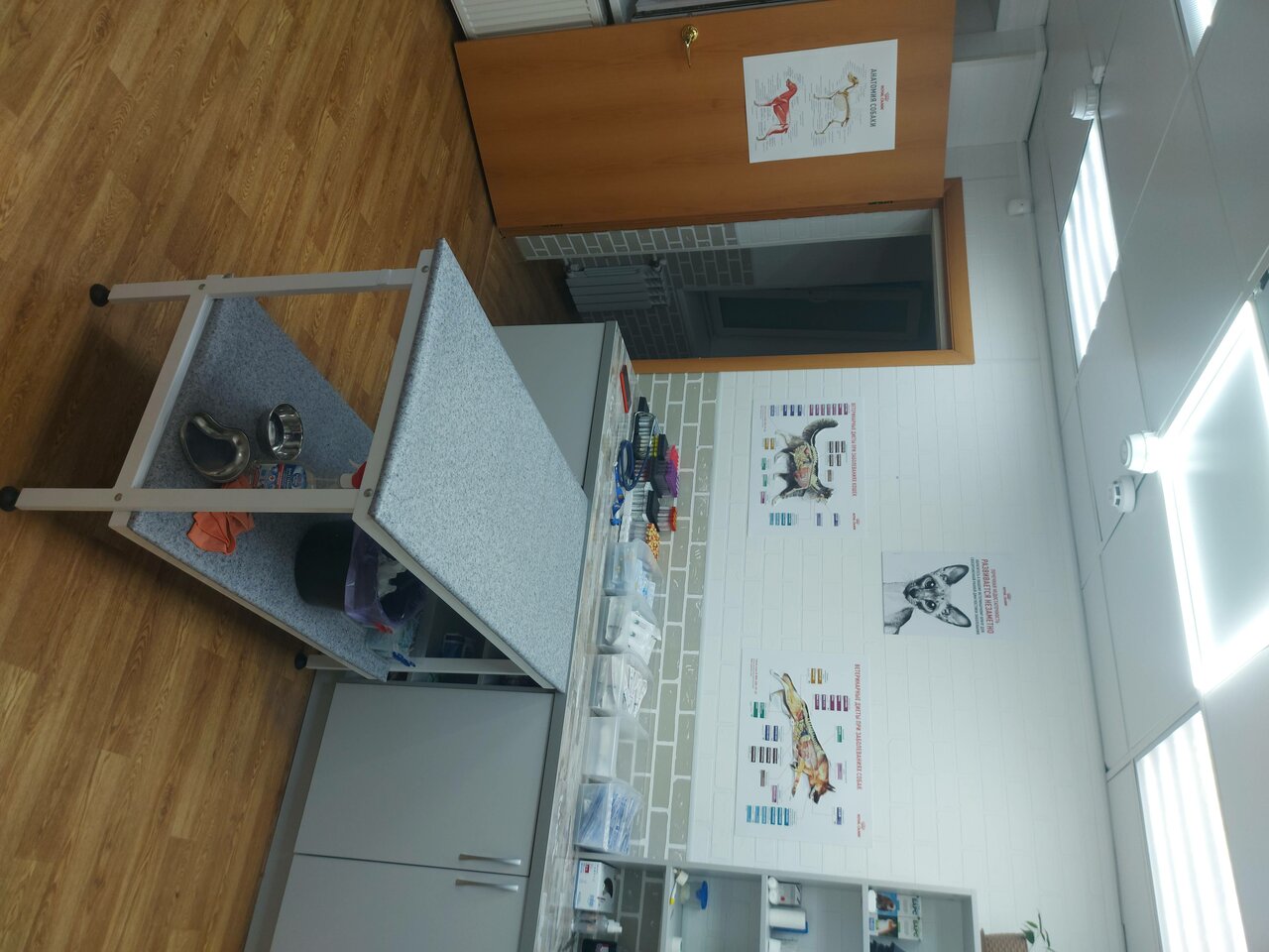 clinic general image