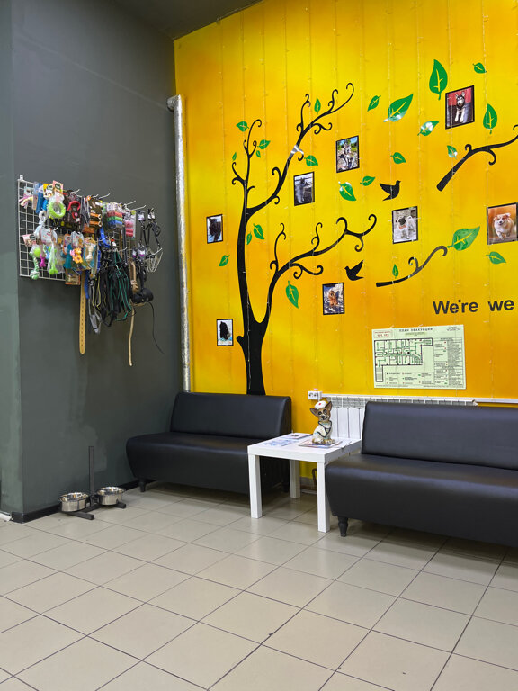 more clinic photos 65056