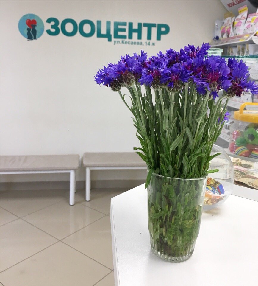 Фото клиники 49660
