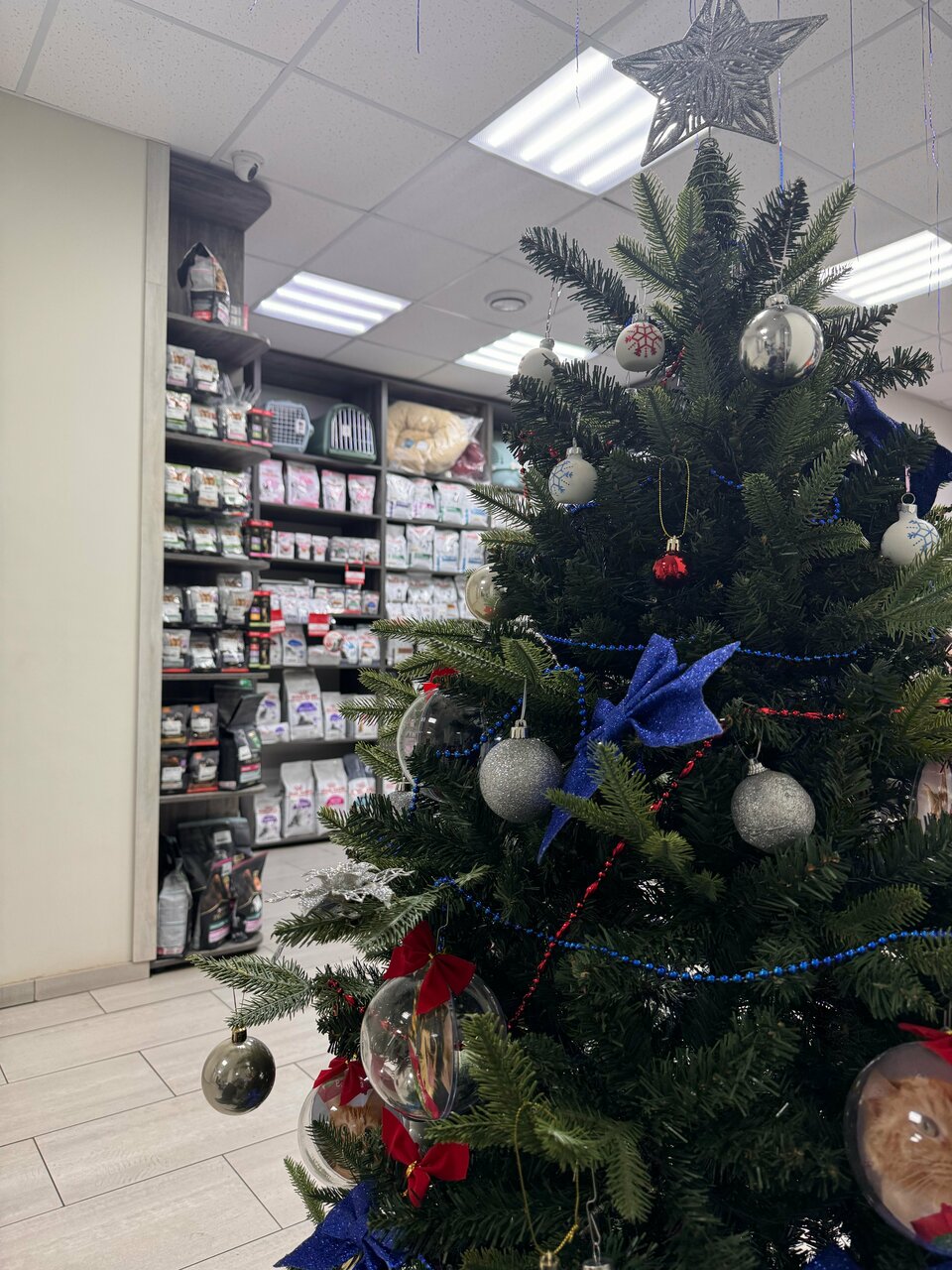 more clinic photos 21568