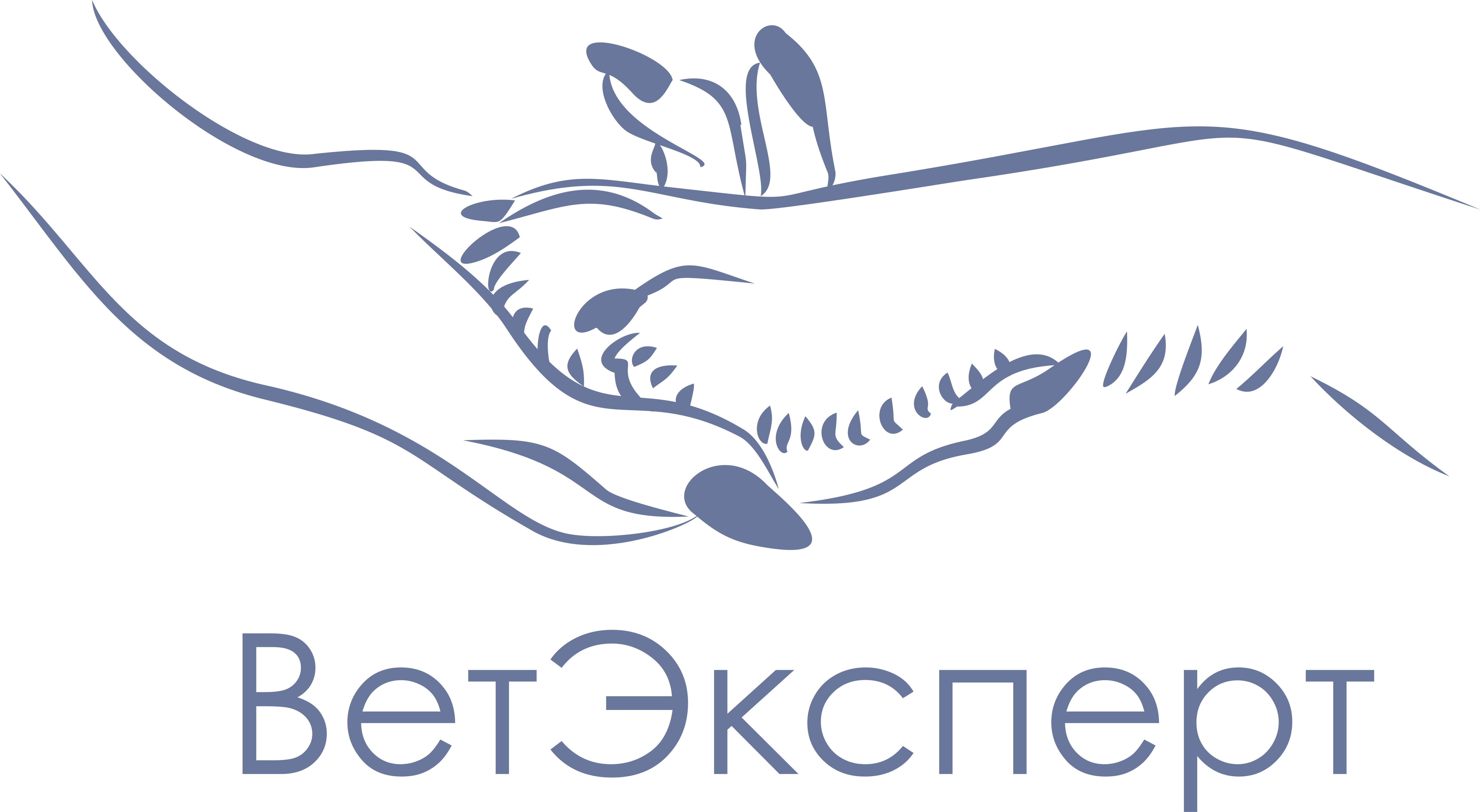 Логотип клиники