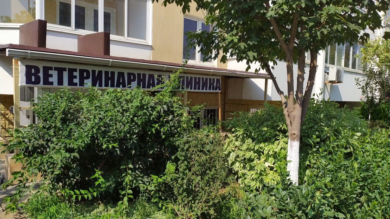 Фото клиники 44334