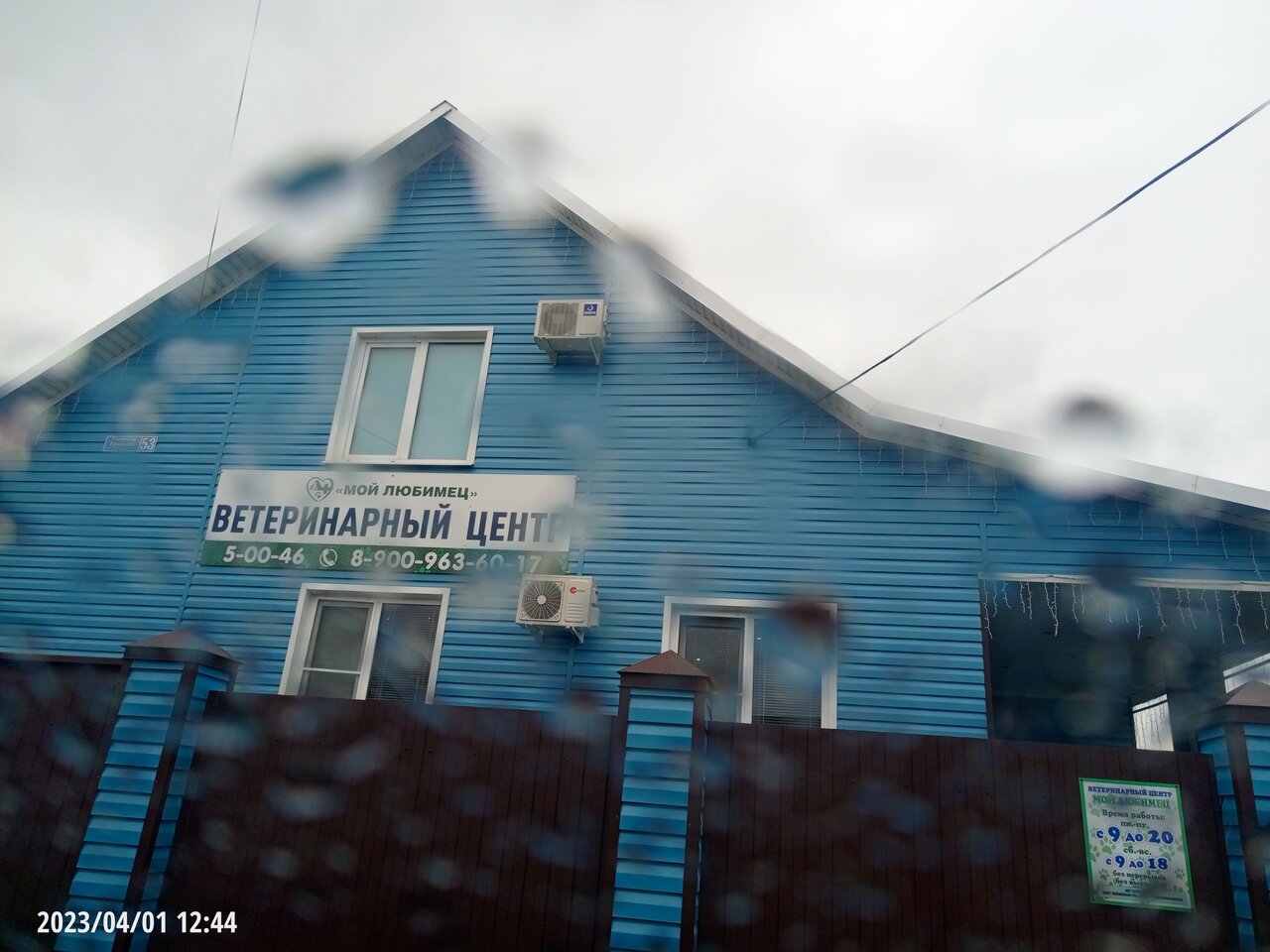 Мой любимец