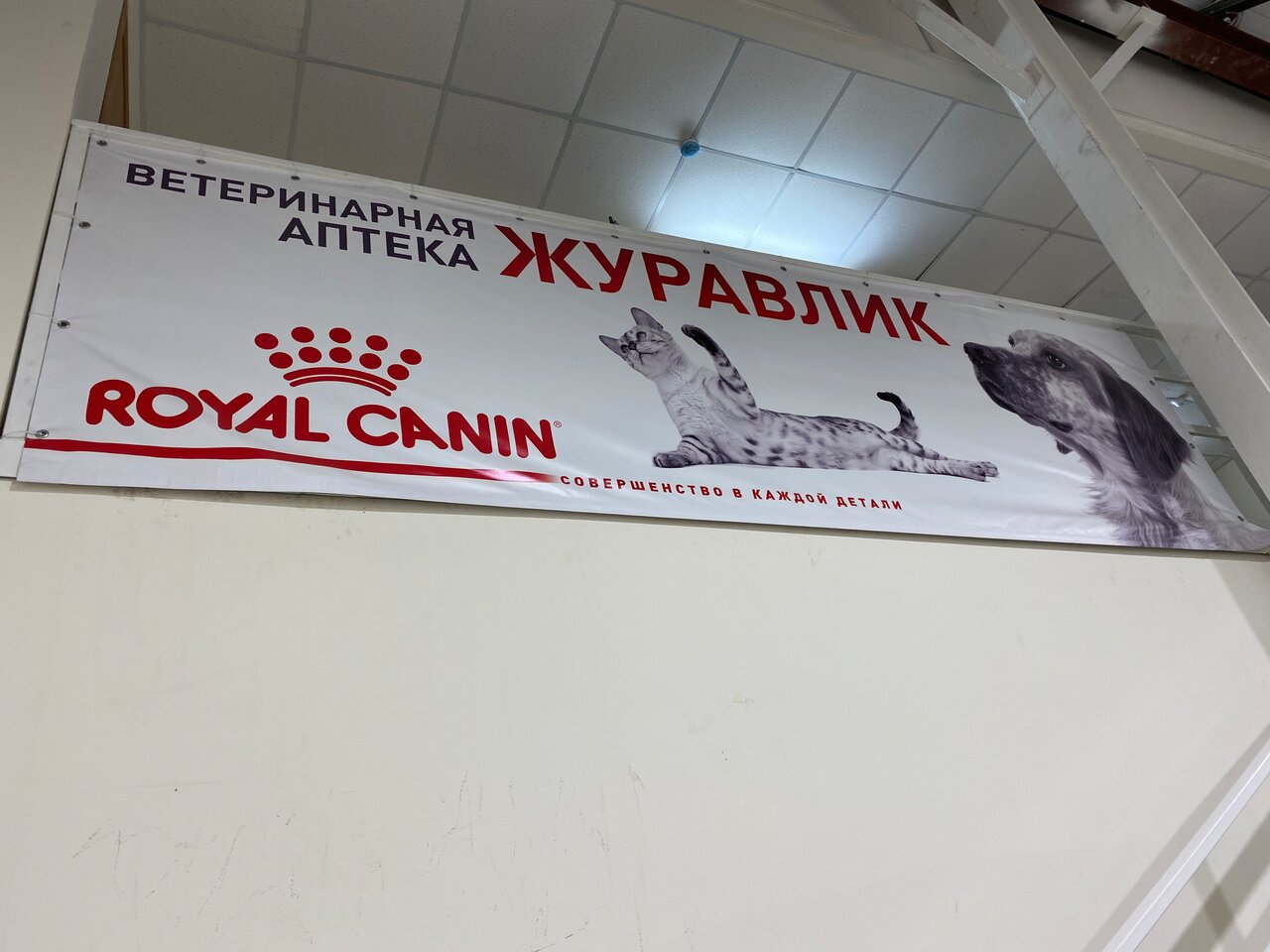 Фото клиники 65573