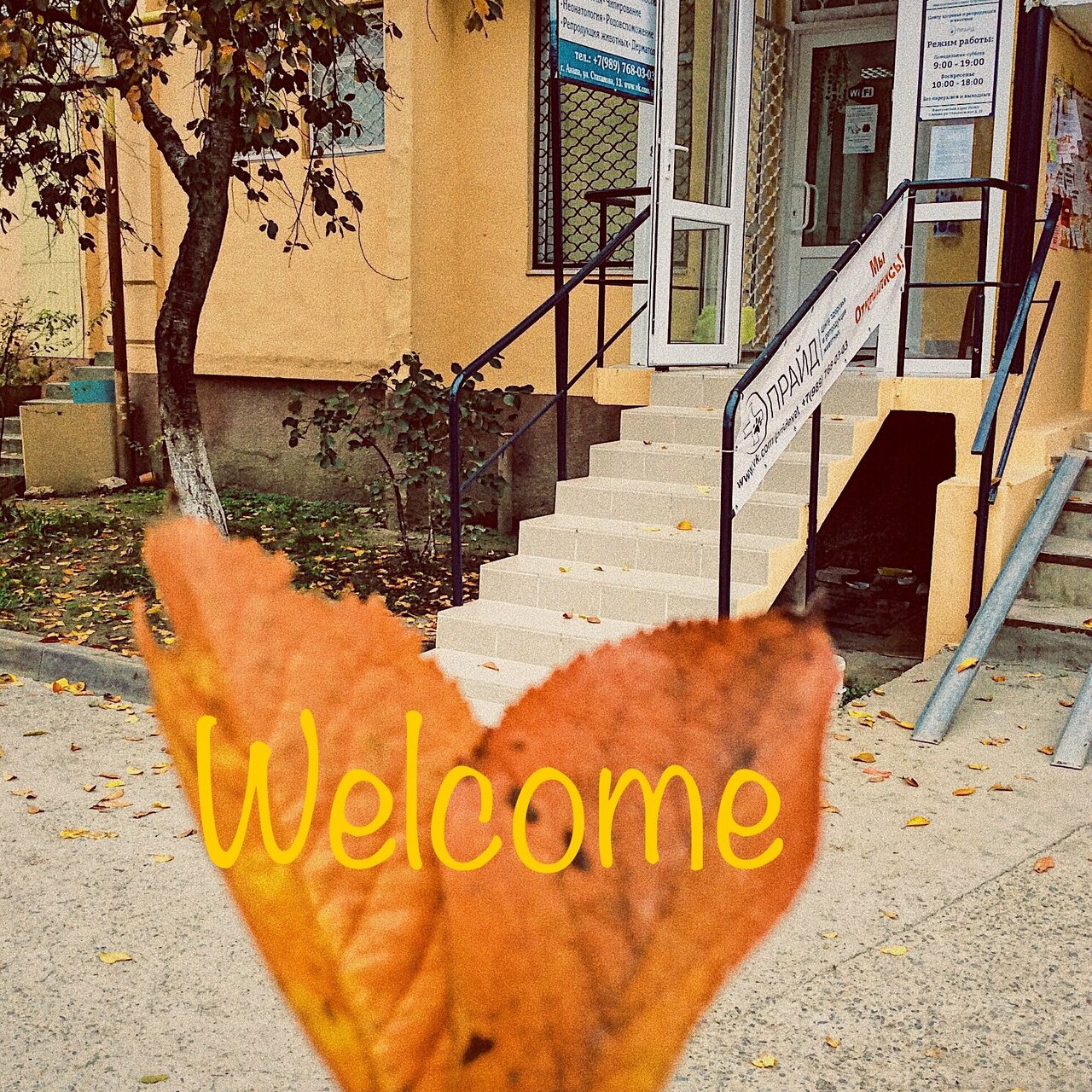 more clinic photos 35374