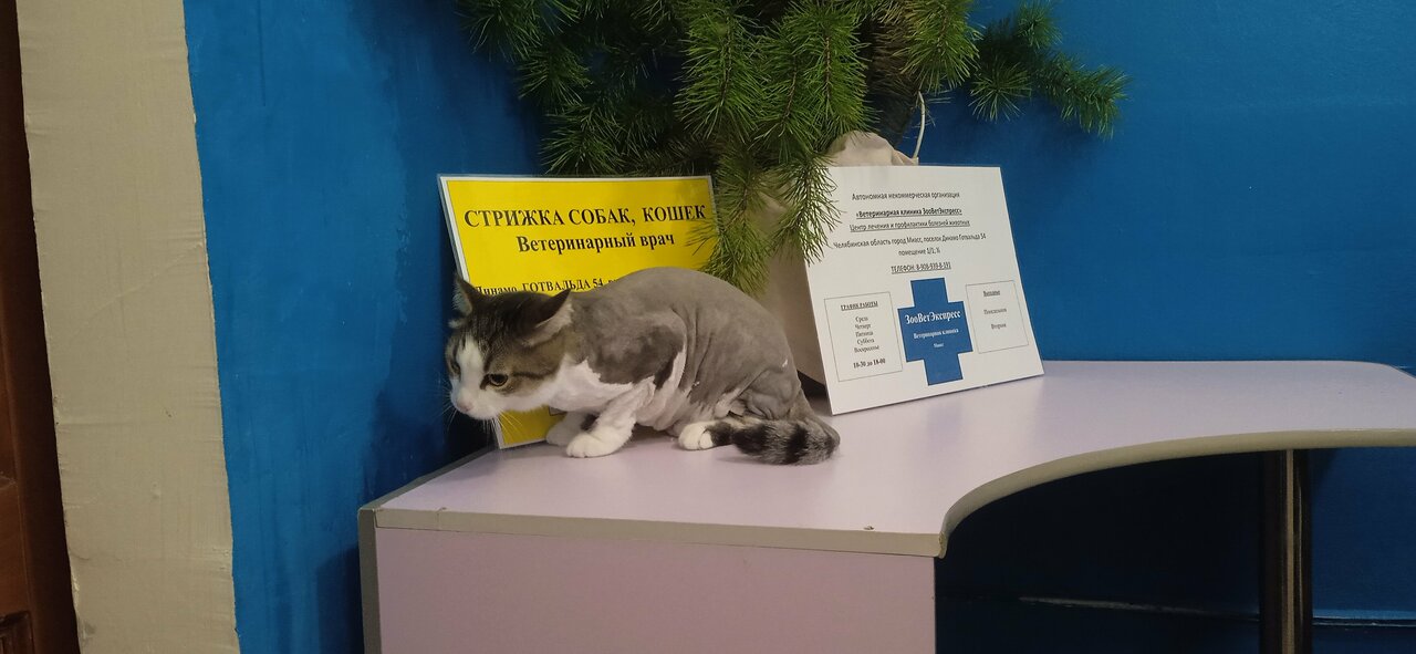 ЗооВетЭкспресс