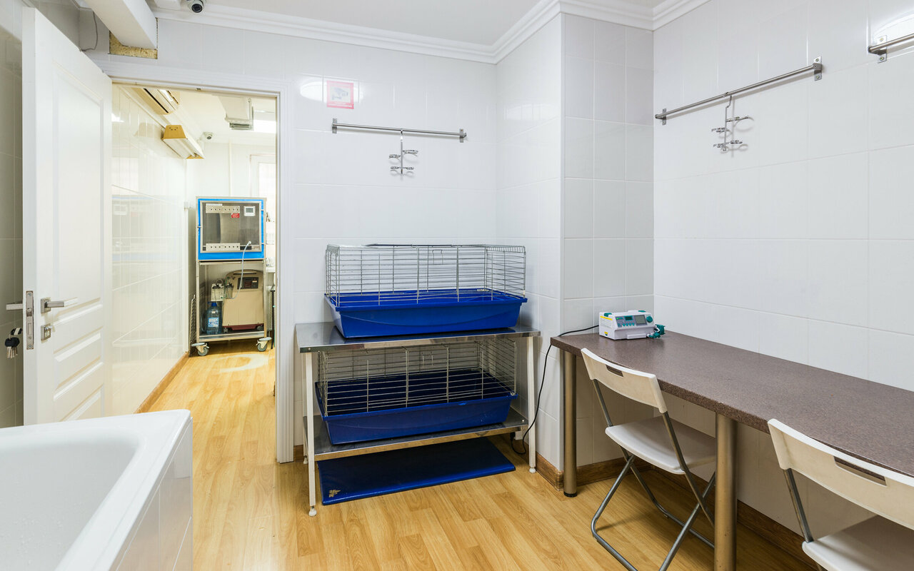 more clinic photos 7113