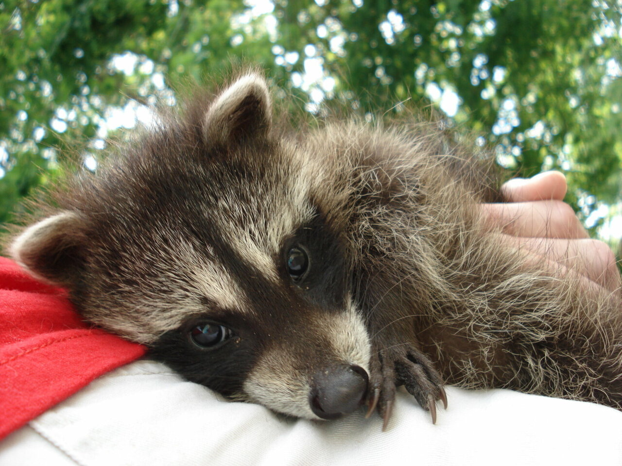 clinic general image