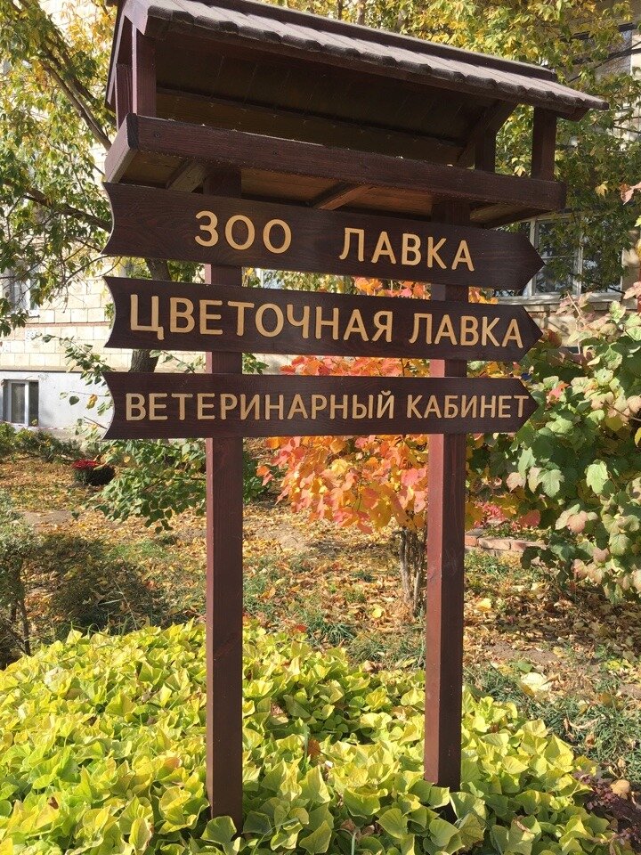 Фото клиники 8410