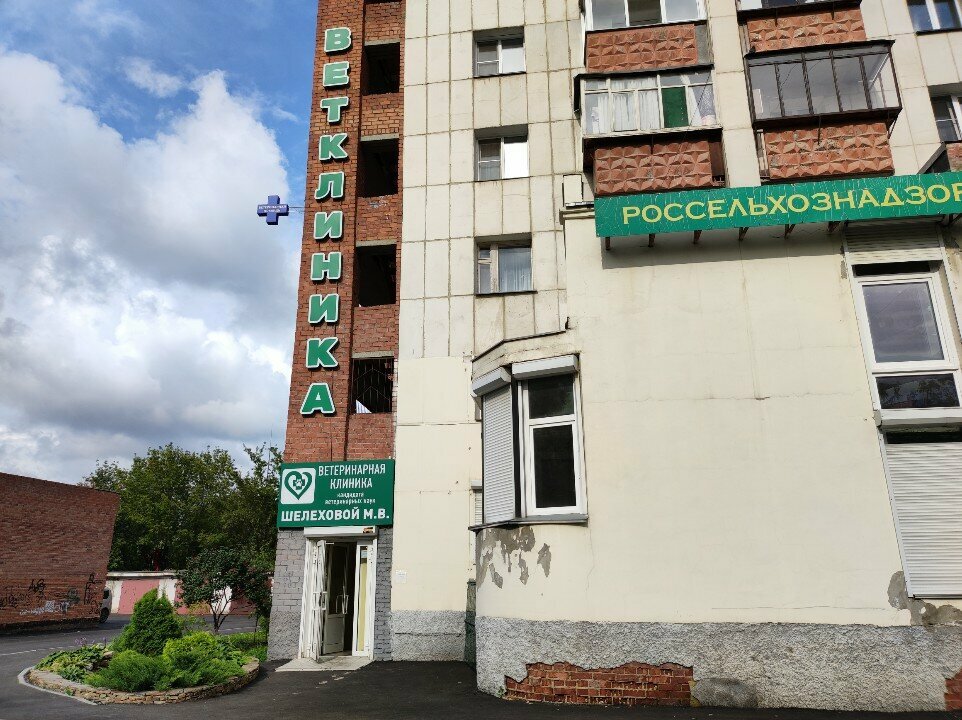 Фото клиники 51733