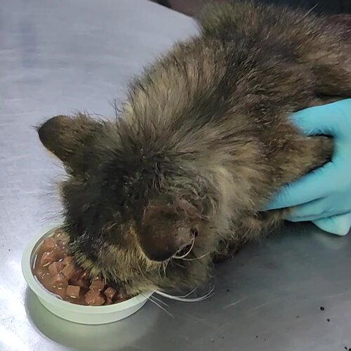 clinic general image