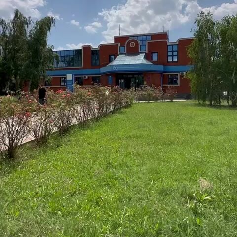 Доктор Айболит