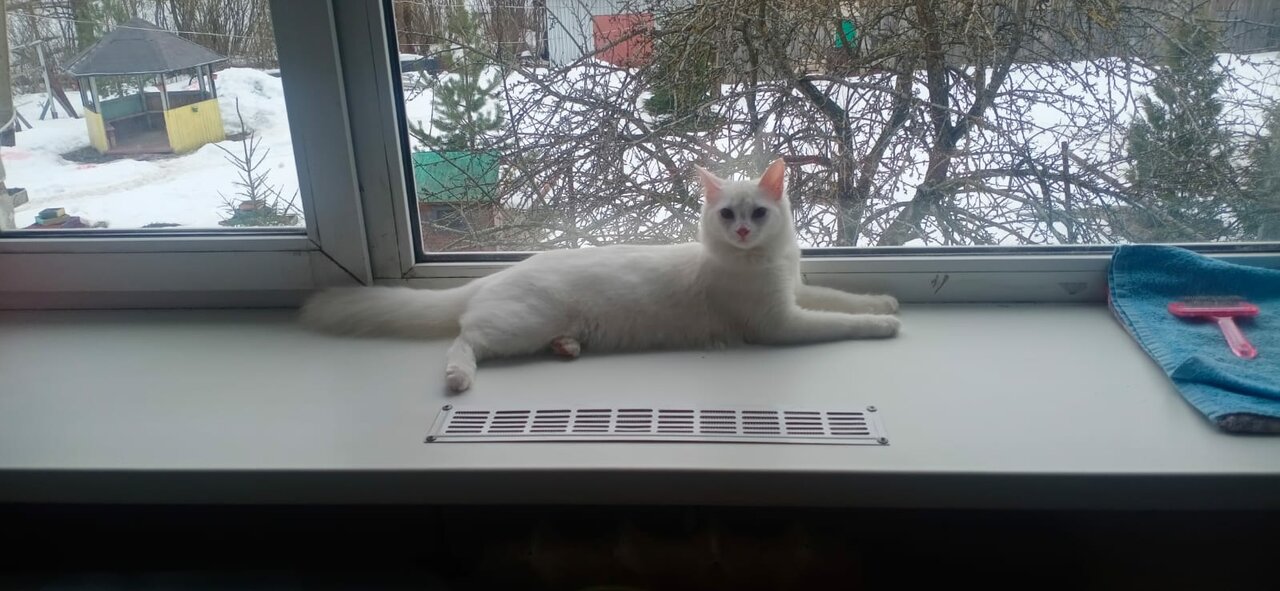 Чудовская районная ветеринарная станция